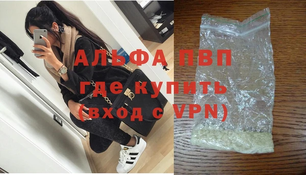 спиды Белокуриха
